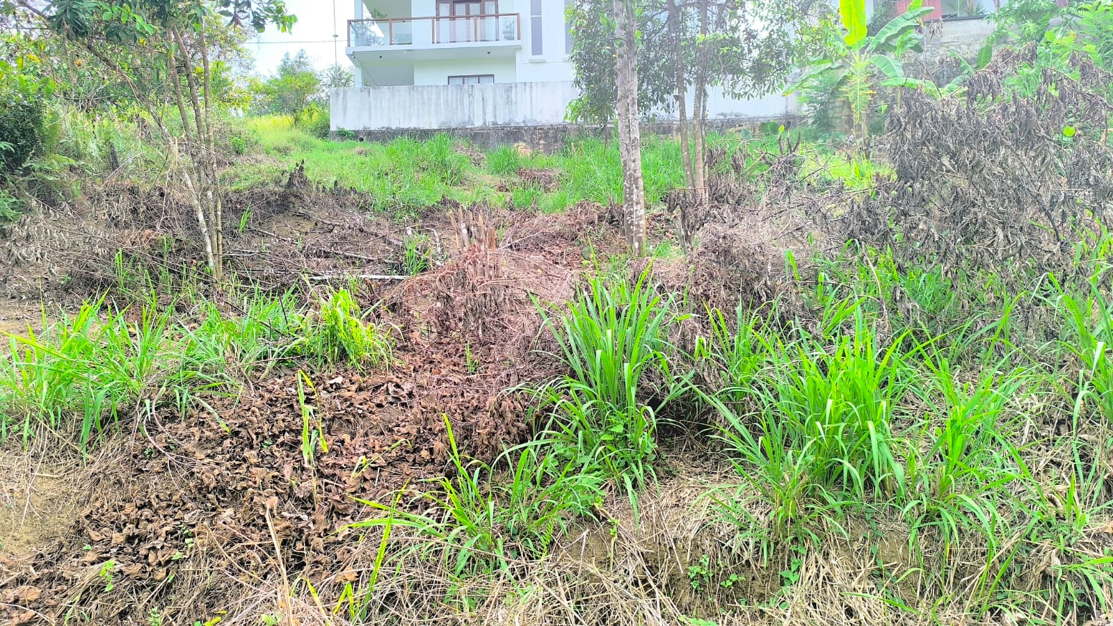 Residential Land for Sale in Ratnapura