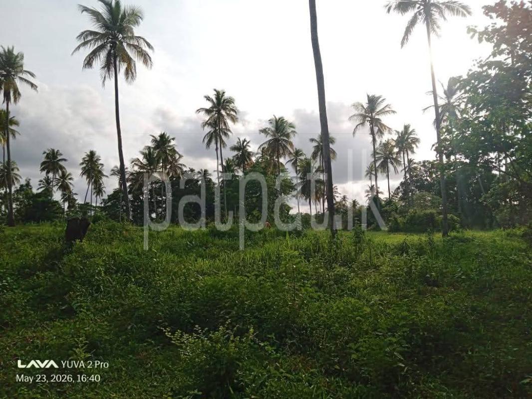 Agricultural Land for Sale in Wellawa