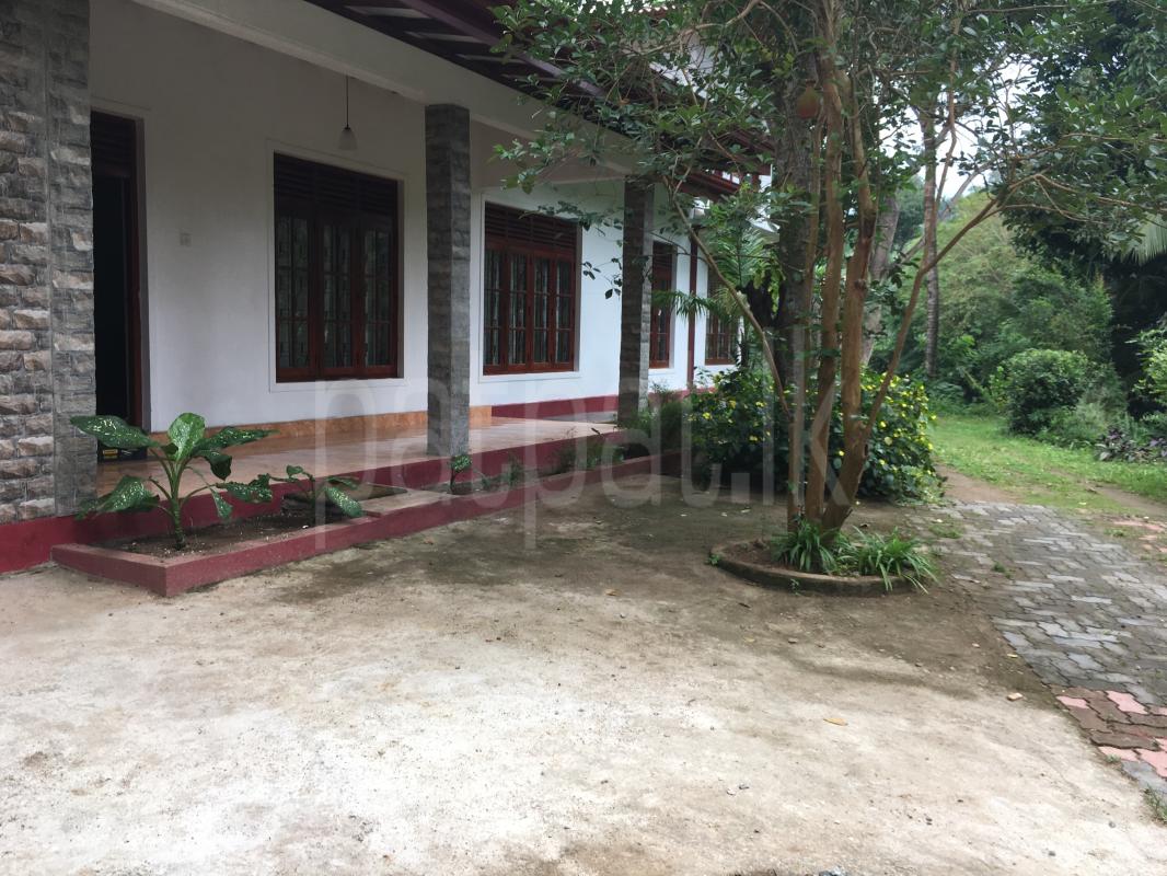 House for Rent in Kundasale