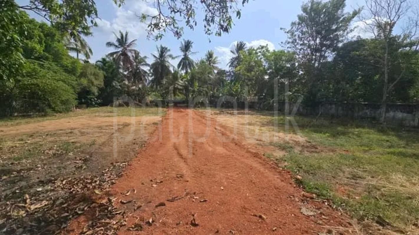 Commercial Land for Sale in Anuradhapura