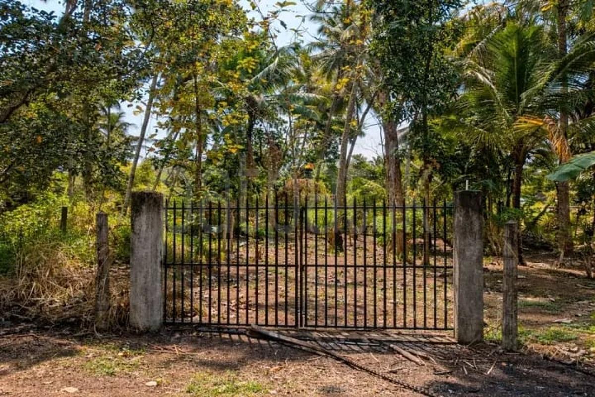 Commercial Land for Sale in Gampaha