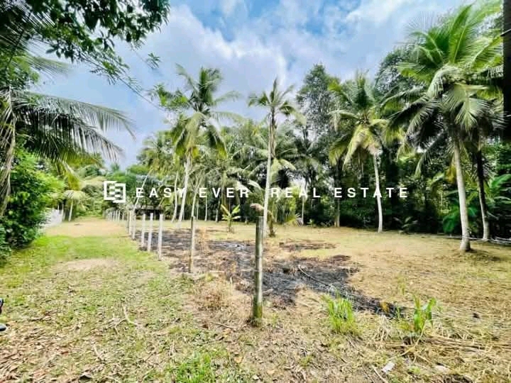 Residential Land for Sale in Minuwangoda
