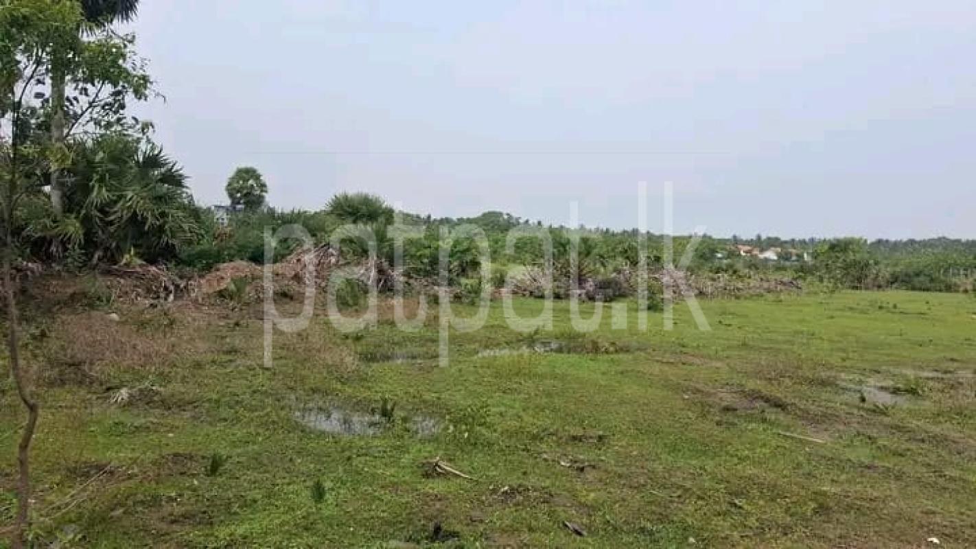 Advertisement image 1