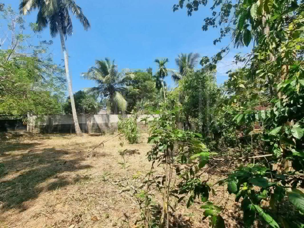 Commercial Land for Sale in Mirigama