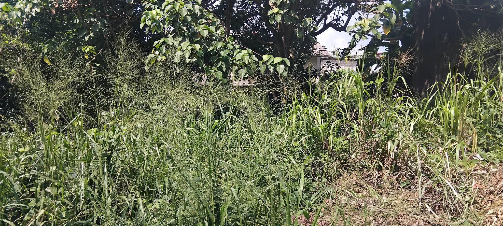 Commercial Land for Sale in Gonapola Junction