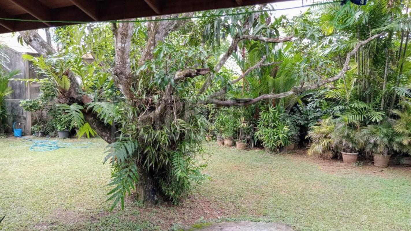 Commercial Land for Sale in Slave Island (Colombo 02) ads-image-1