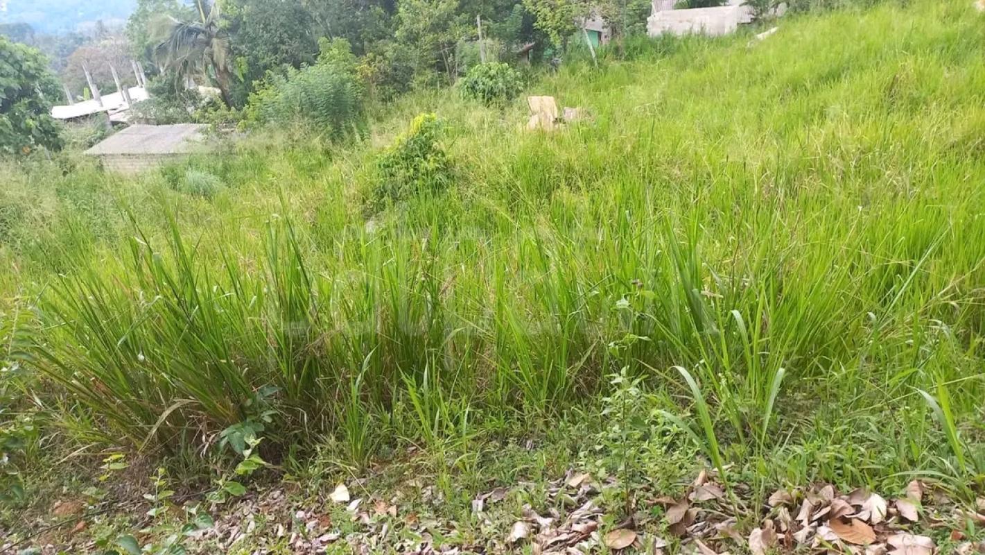 Agricultural Land for Sale in Piliyandala