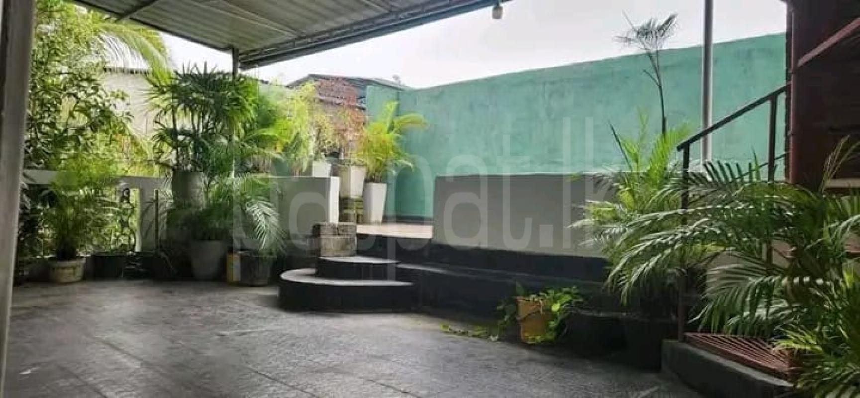 Advertisement image 5