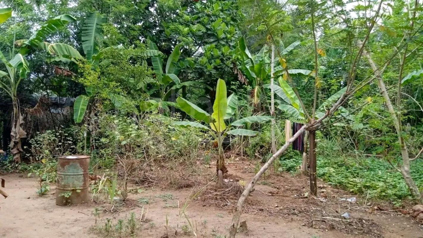 Agricultural Land for Sale in Bope