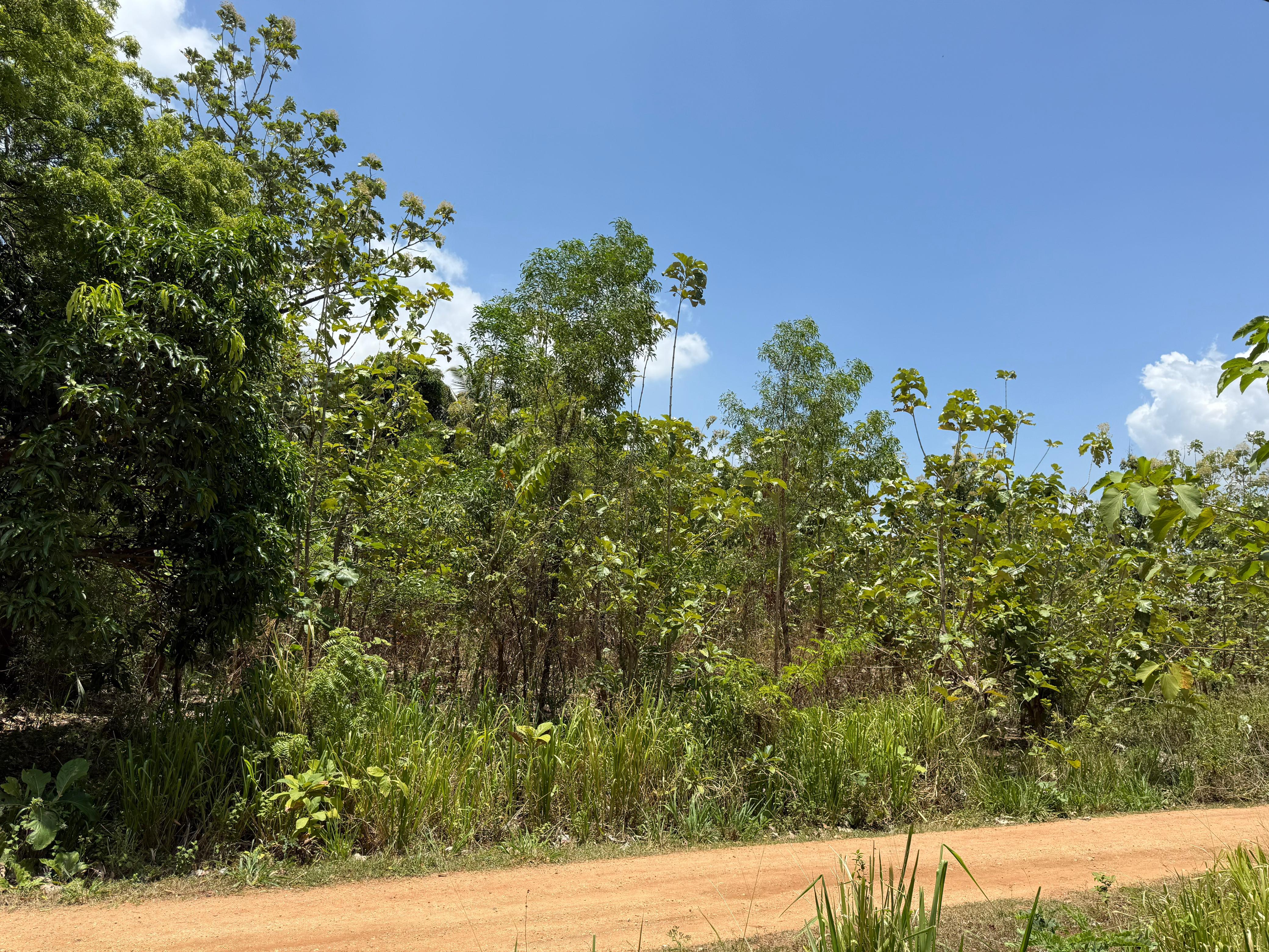 Residential Land for Sale in Lenadora