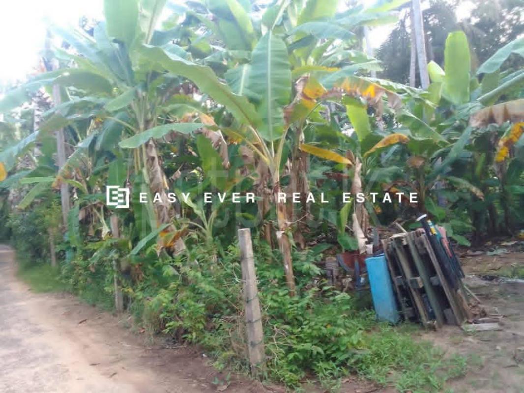 Residential Land for Sale in Hikkaduwa