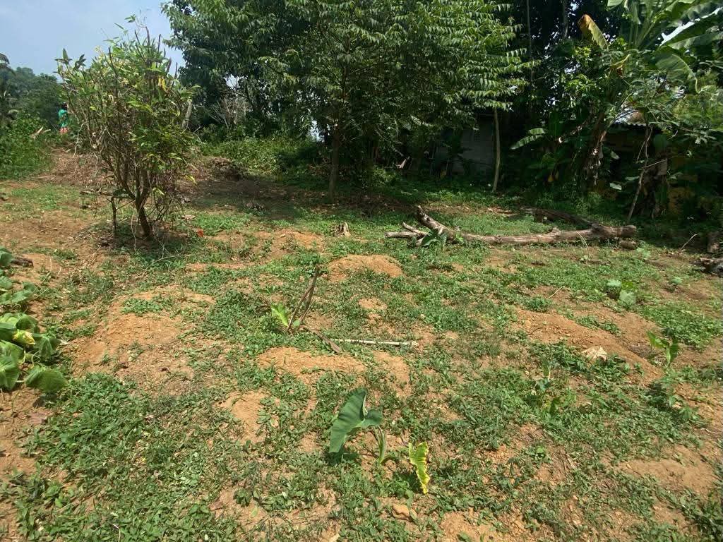 Commercial Land for Sale in Horana