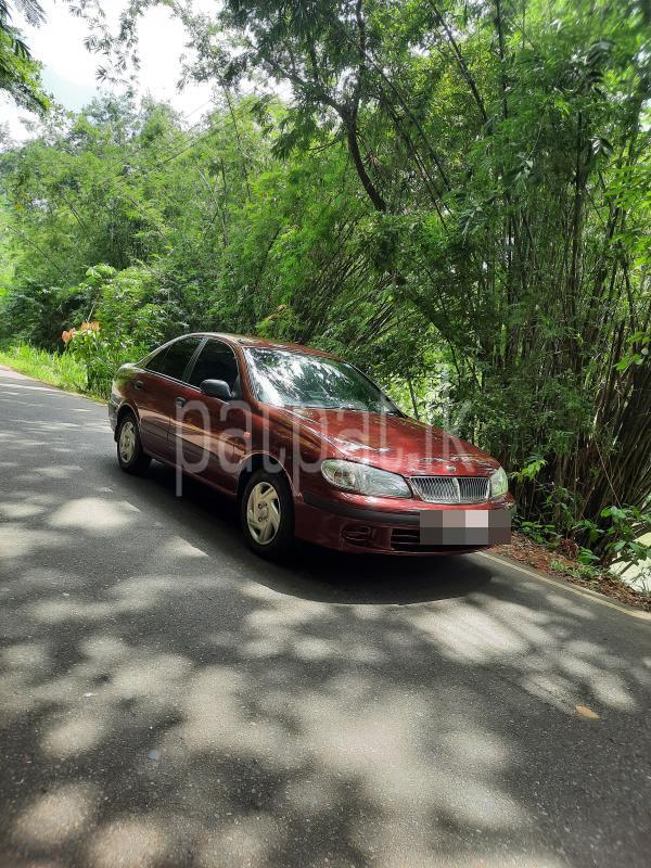 Advertisement image 3