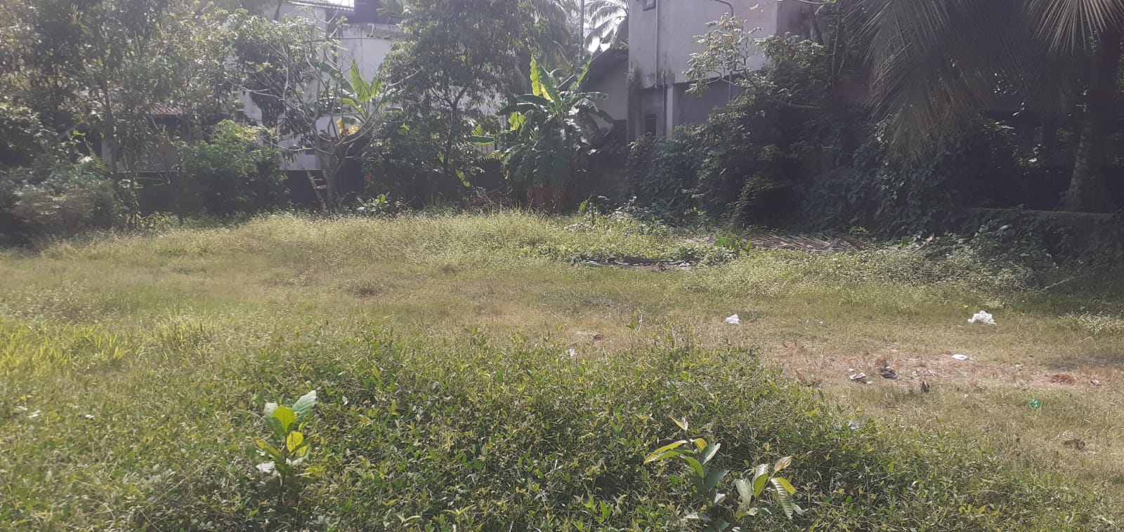  Land for Sale in Kotikawatta