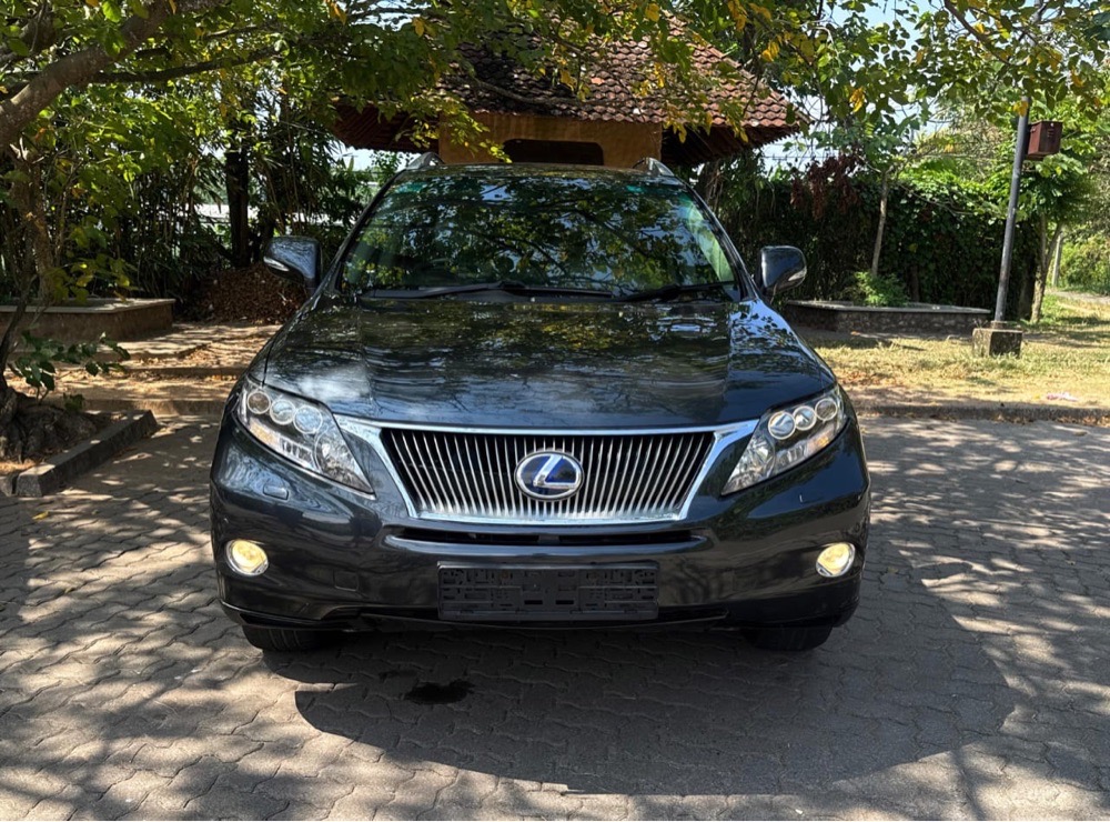 Lexus RX Series 2010 ads-image-1