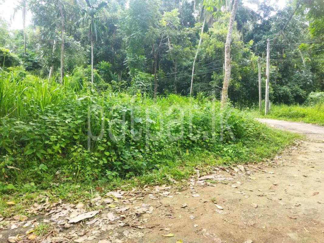Commercial Land for Sale in Gampola