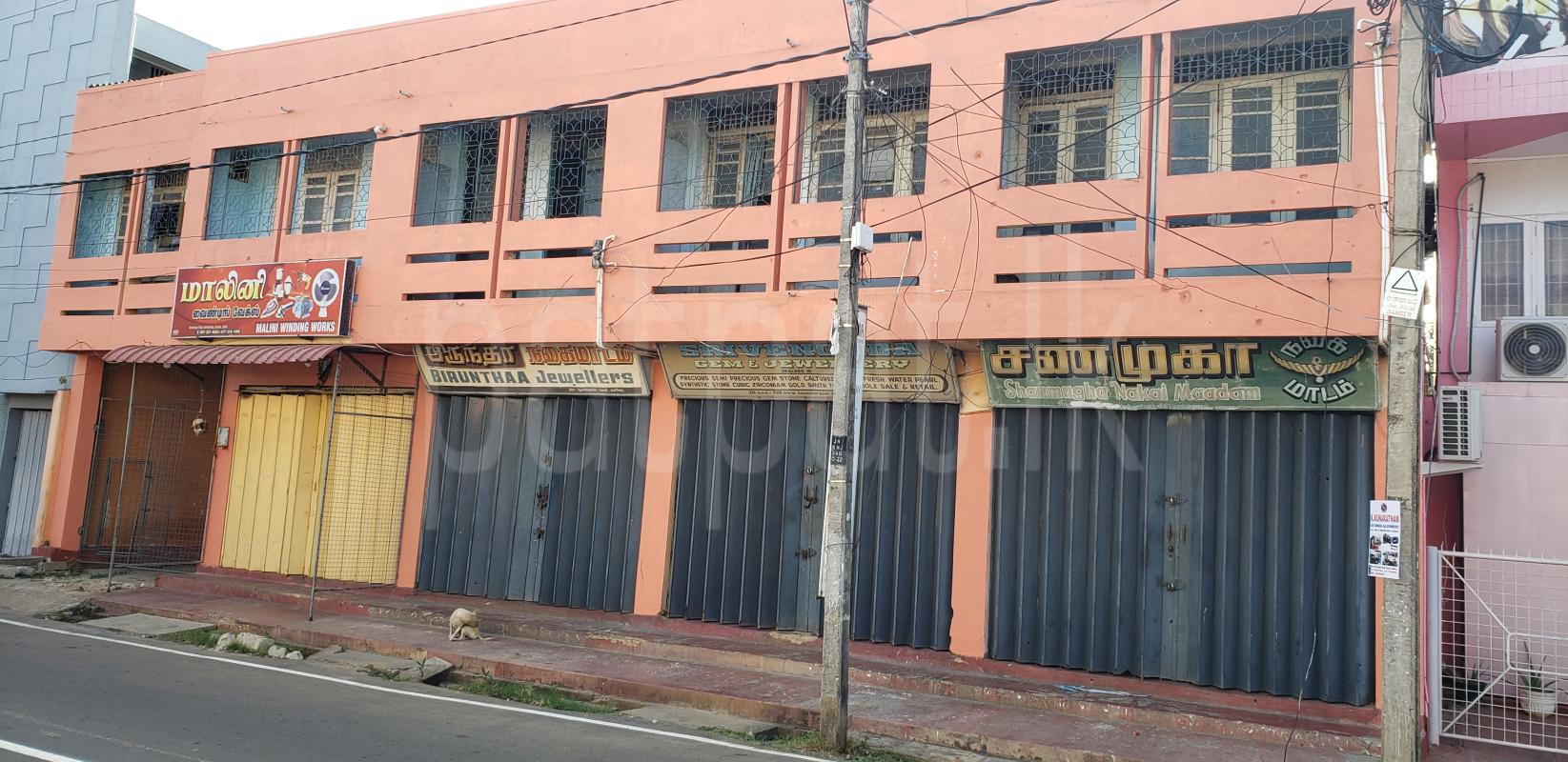 Advertisement image 2