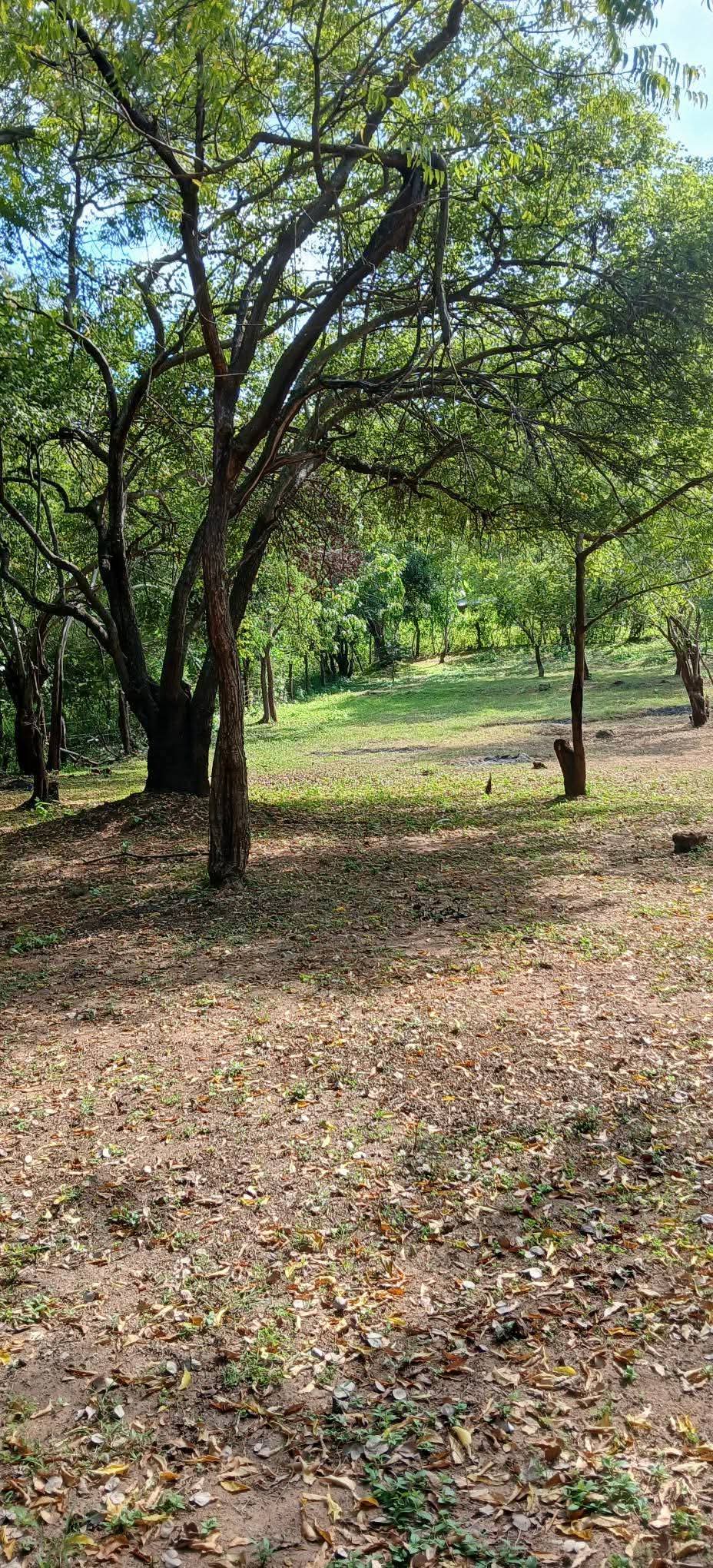 Residential Land for Sale in Kataragama