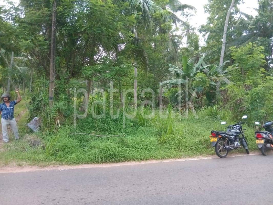 Residential Land for Sale in Badalgama