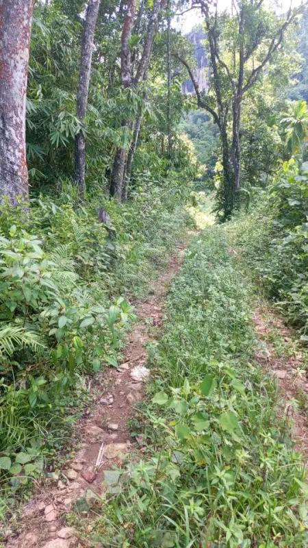 Agricultural Land for Sale in Mirigama ads-image-1