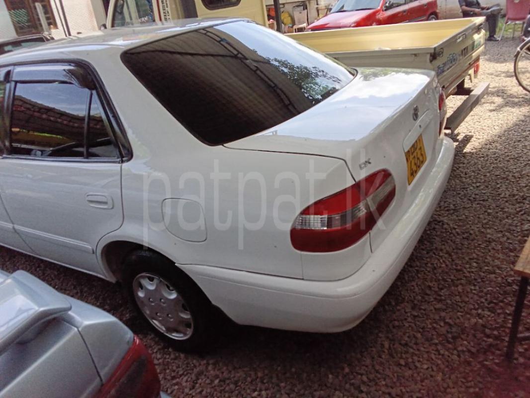 Toyota Corolla 2001 - භාවිතා කරන ලද කාර් sale in Sri Lanka - patpat.lk