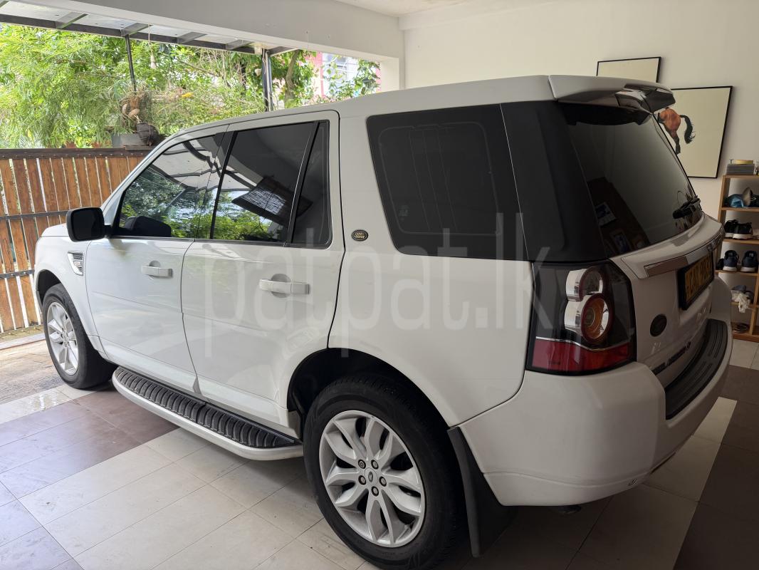 Advertisement image 2