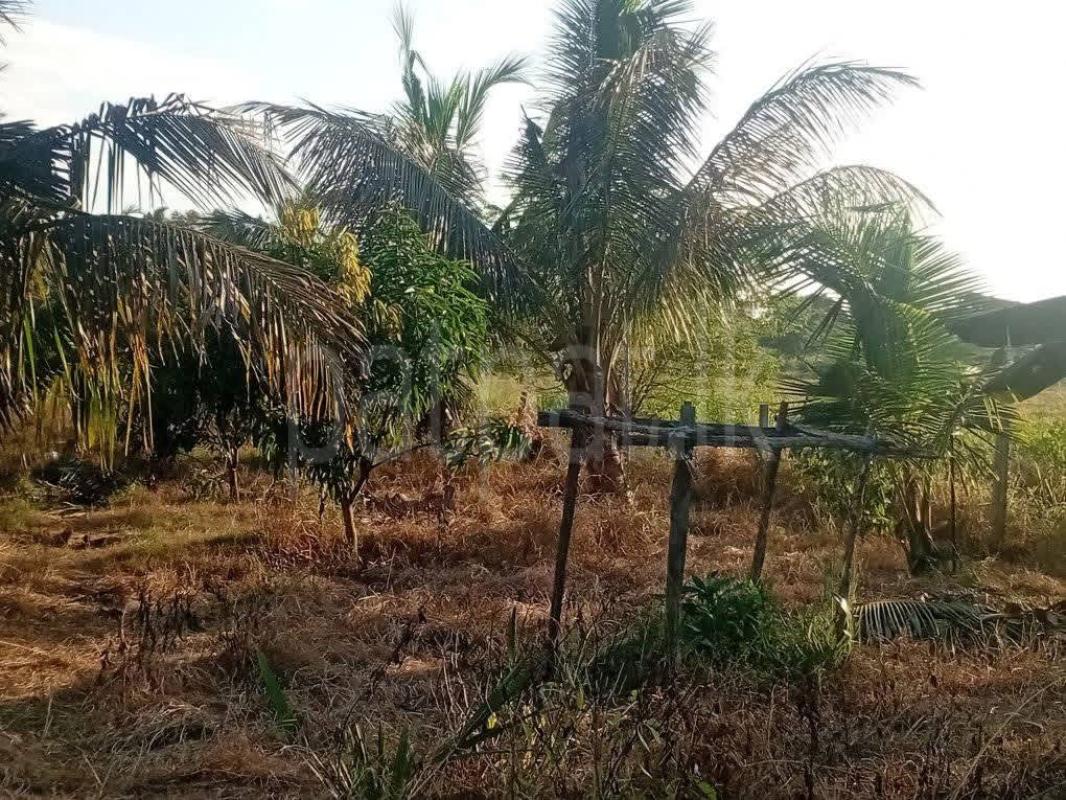 Agricultural Land for Sale in Anuradhapura