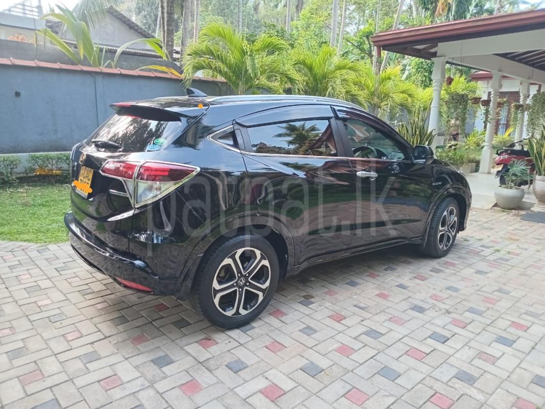 Advertisement image 3