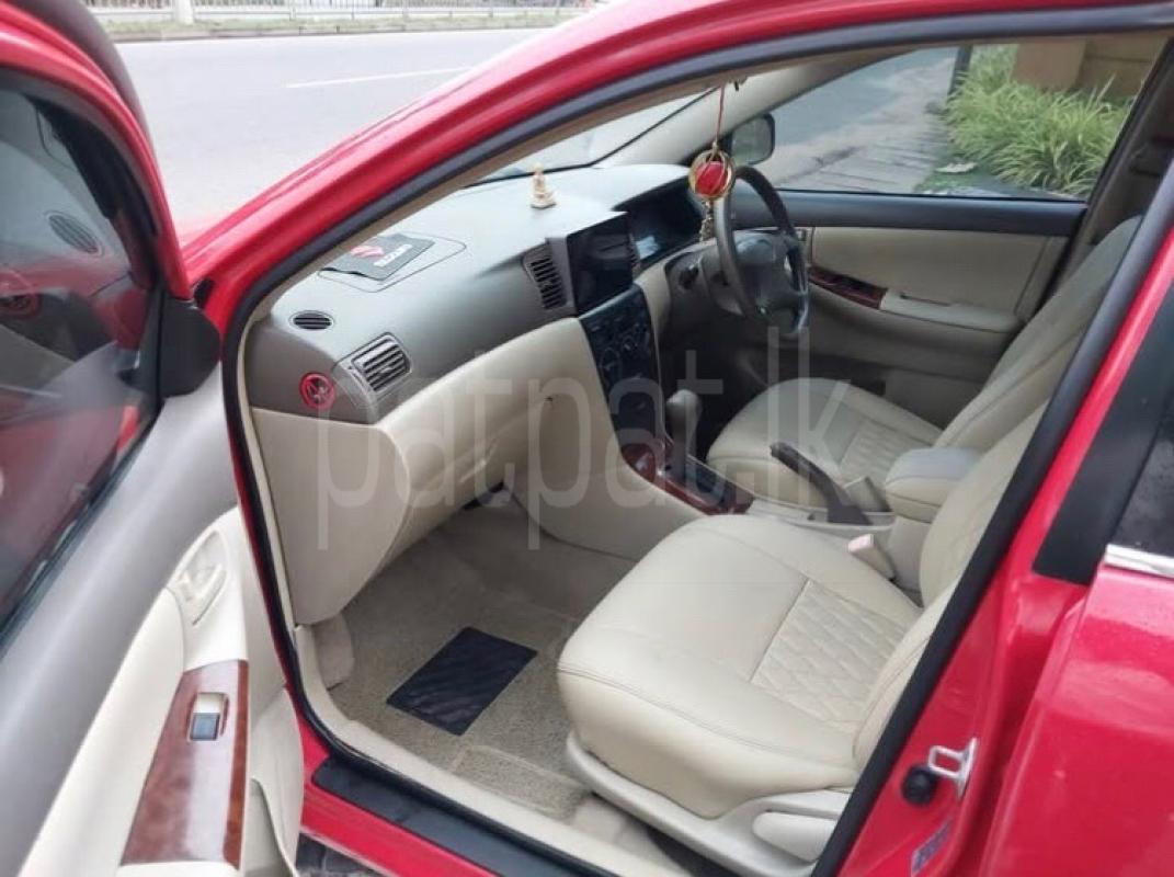 Advertisement image 6