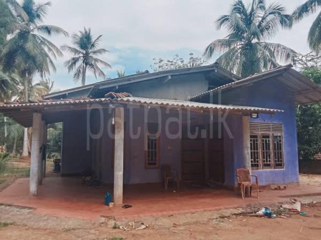 House for Sale in Tangalla ads-image-1