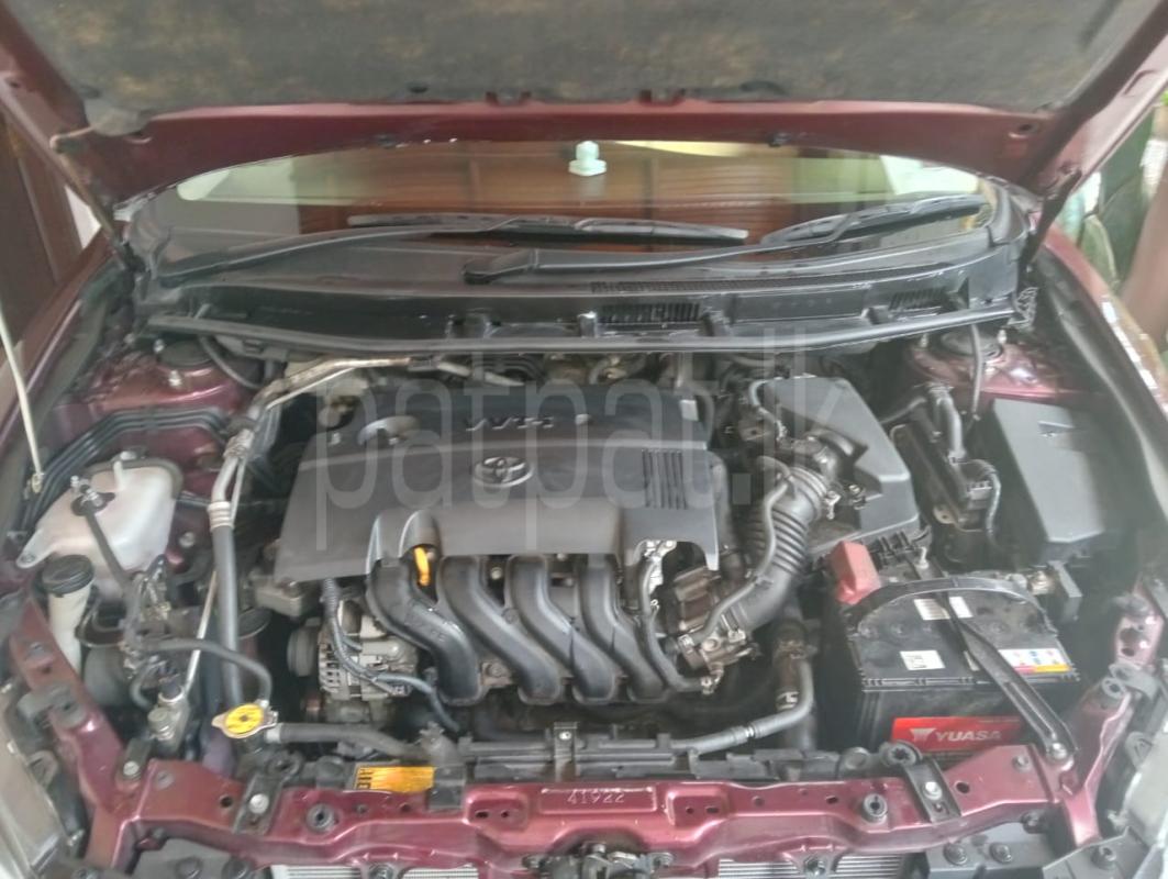 Advertisement image 6