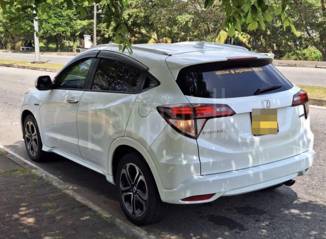 Advertisement image 4