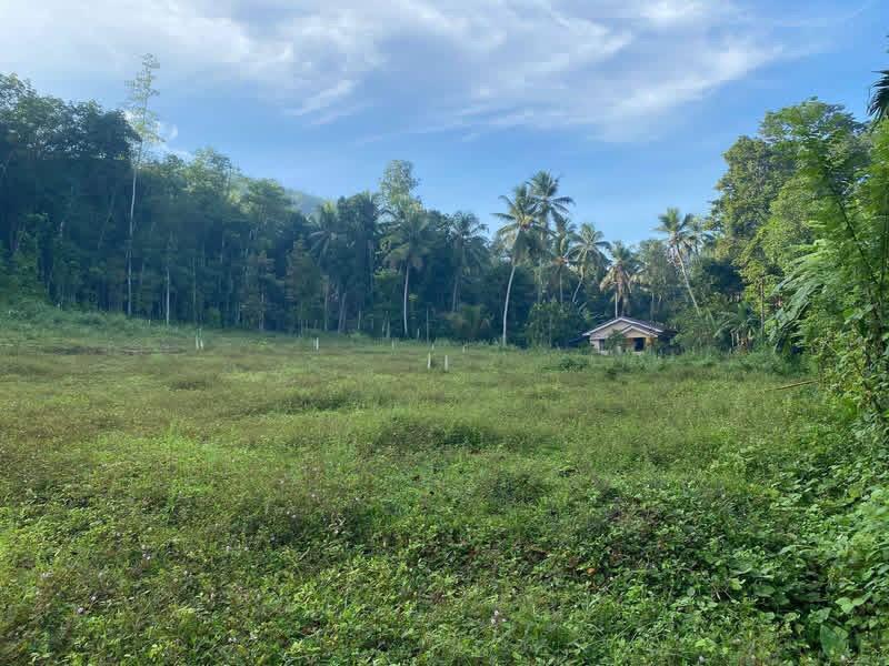 Residential Land for Sale in Horana