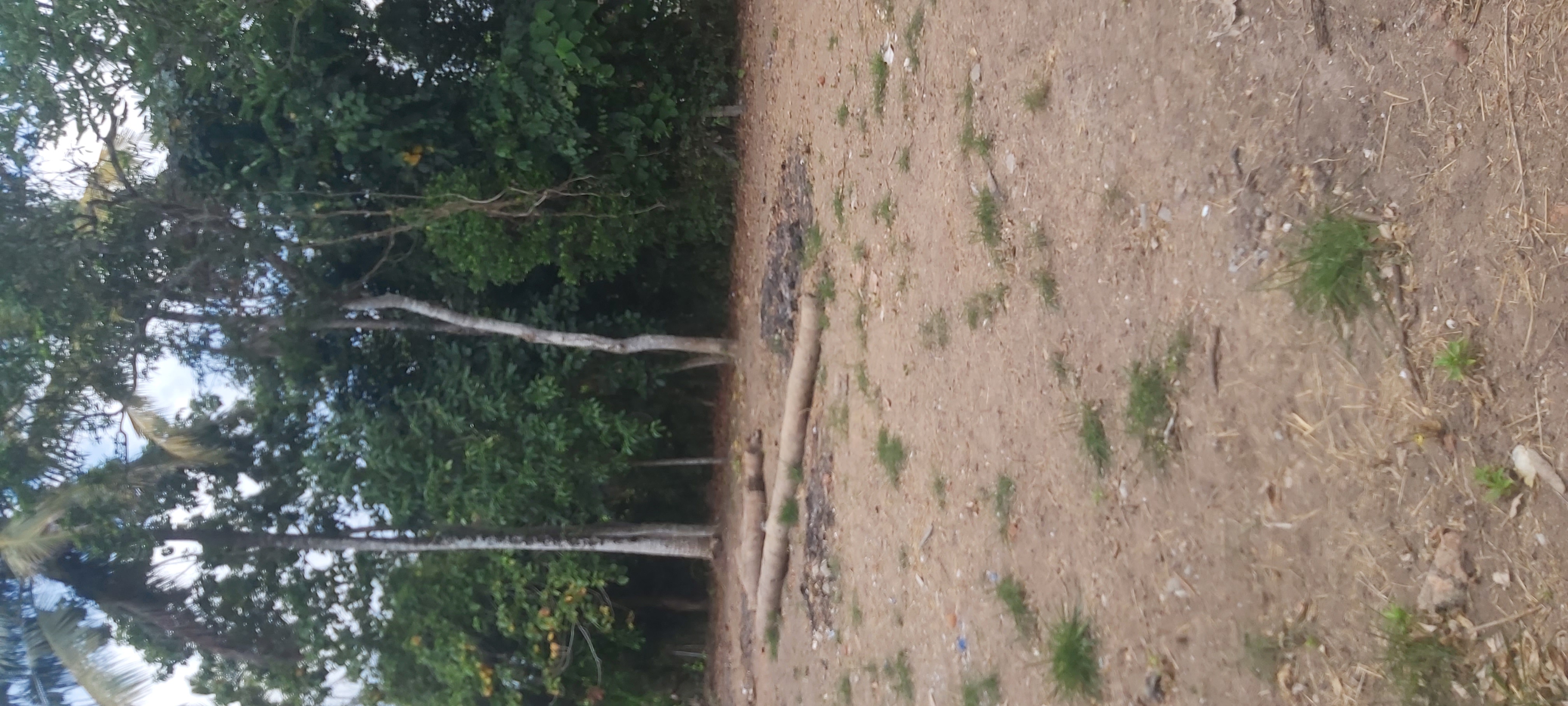 Residential Land for Sale in Minuwangoda
