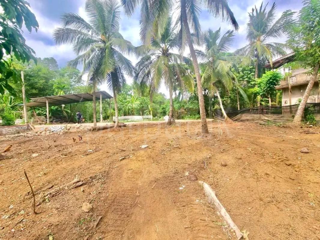 Commercial Land for Sale in Minuwangoda