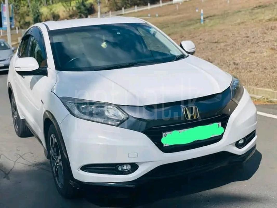 Advertisement image 2