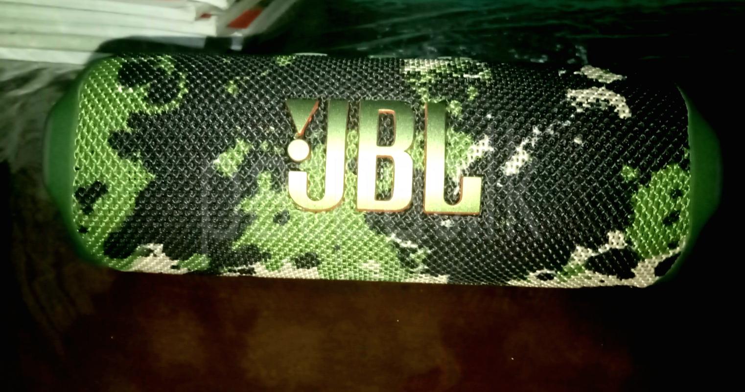 Jbl filp 7