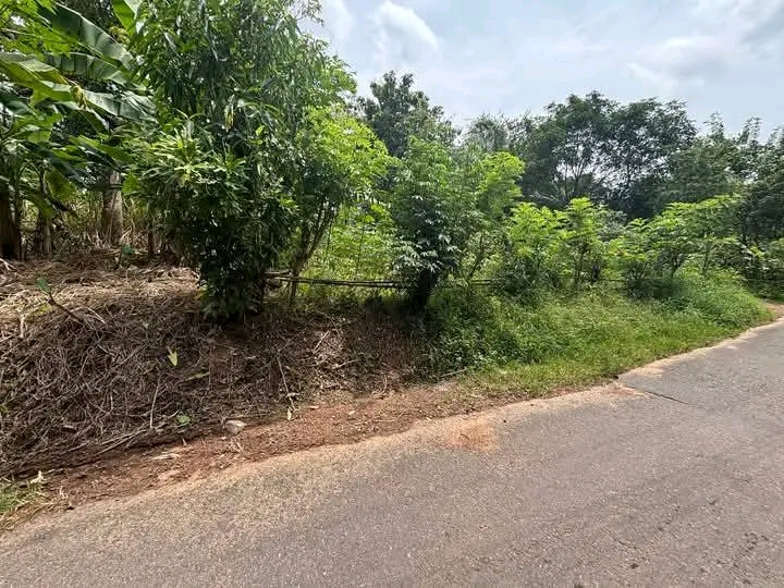 Residential Land for Sale in Horana