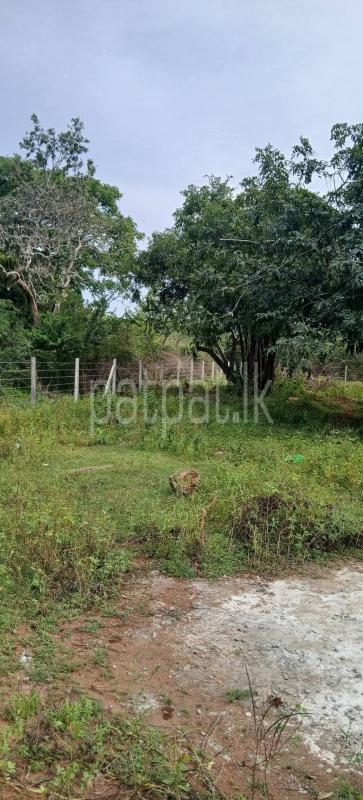 Residential Land for Sale in Kataragama