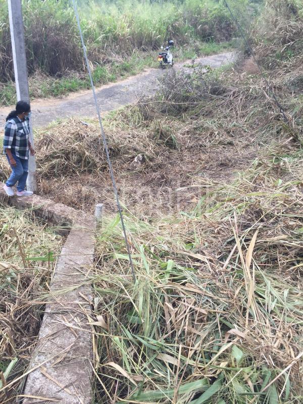 Residential Land for Sale in Haragama ads-image-1