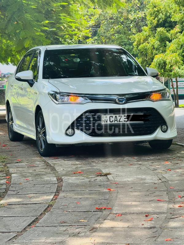 Advertisement image 6