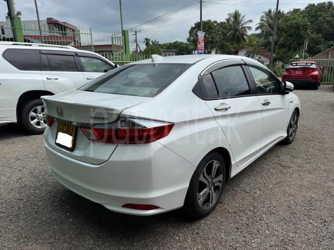 Advertisement image 4