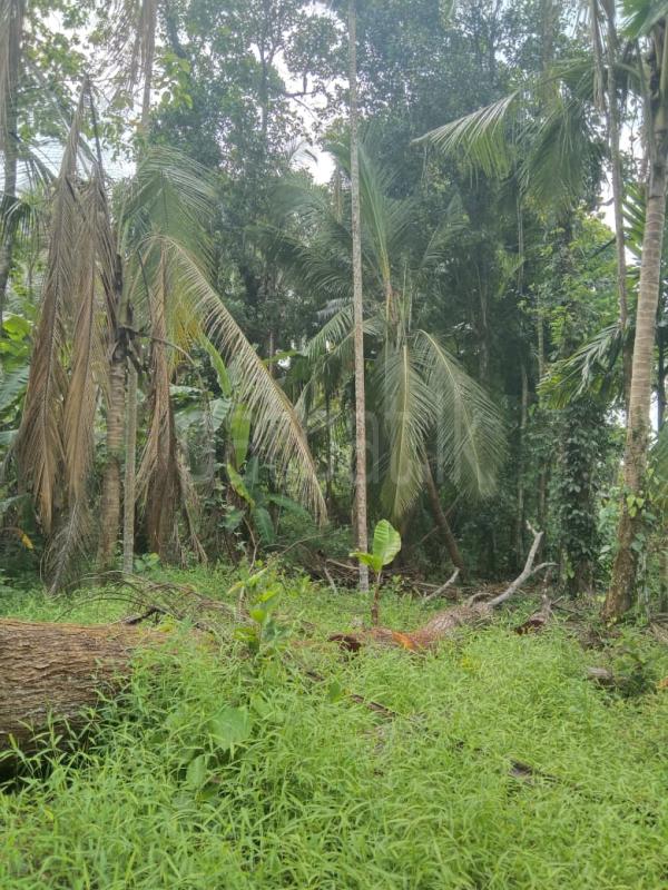 Residential Land for Sale in Imbulgasdeniya ads-image-1