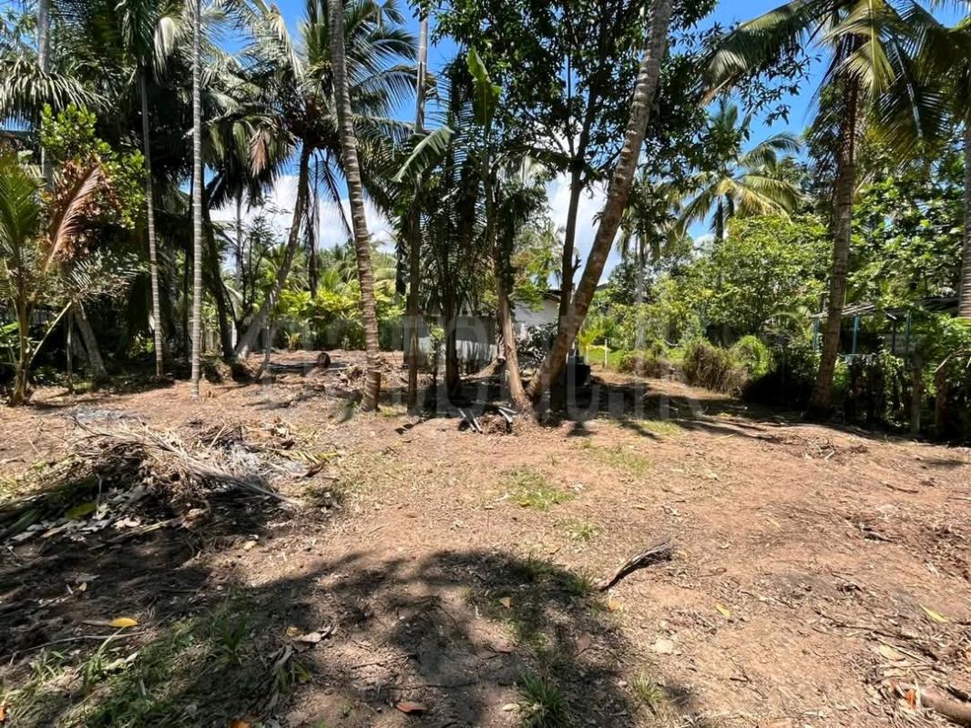 Residential Land for Sale in Maggona ads-image-1