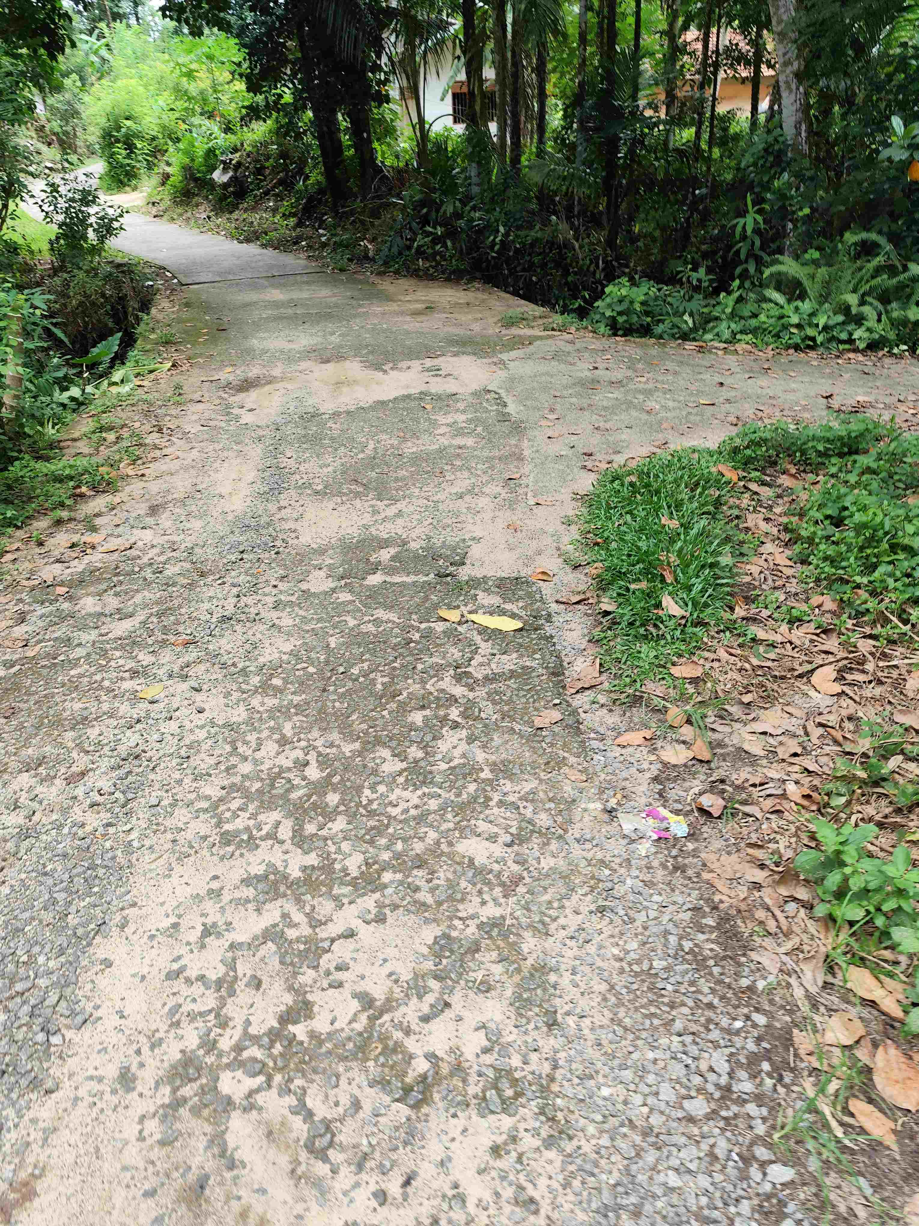 Agricultural Land for Sale in Elpitiya