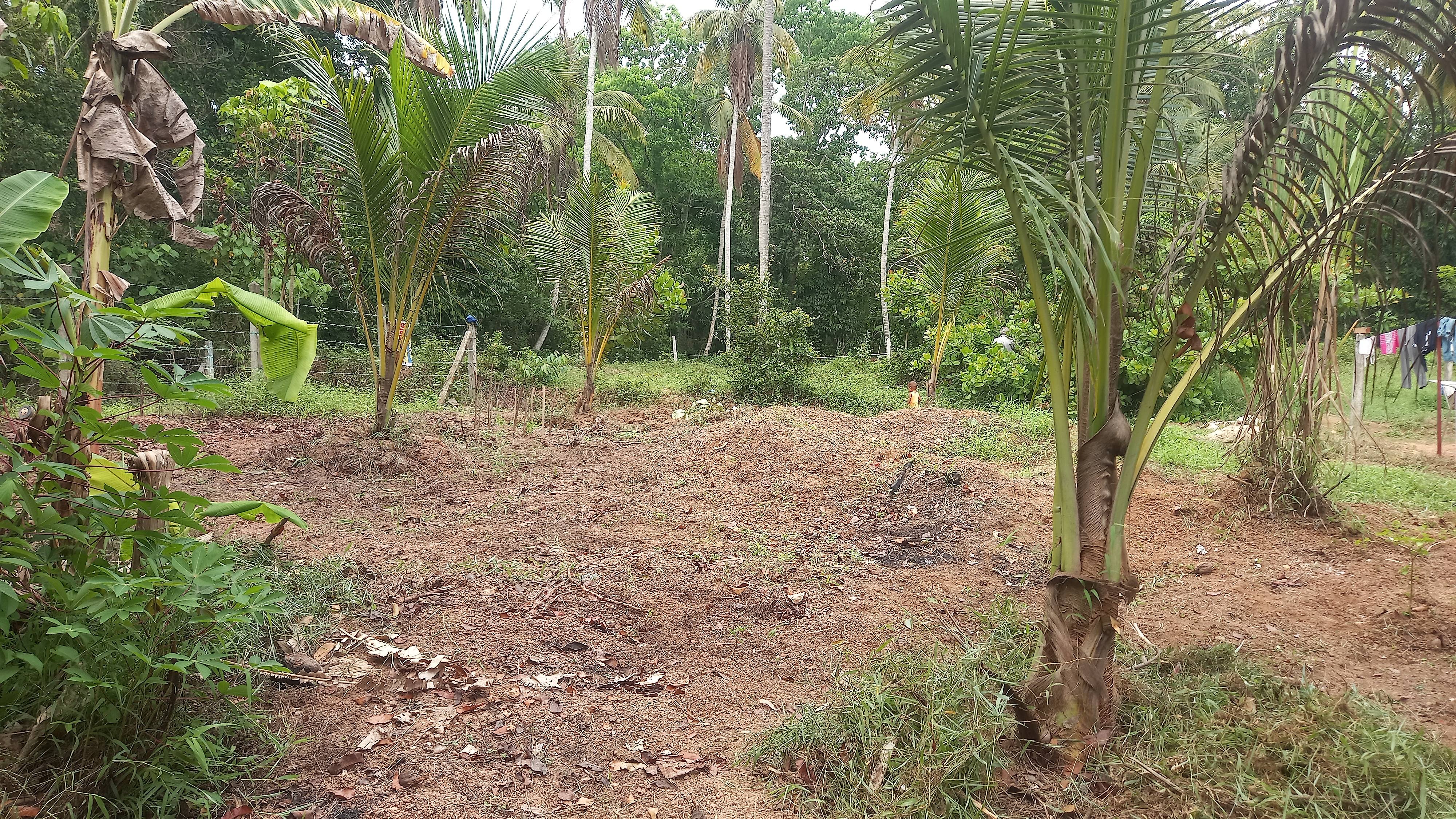 Residential Land for Sale in Horampella
