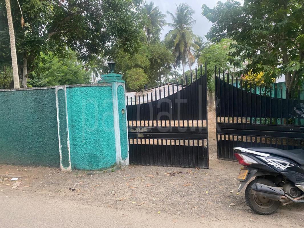 Advertisement image 1