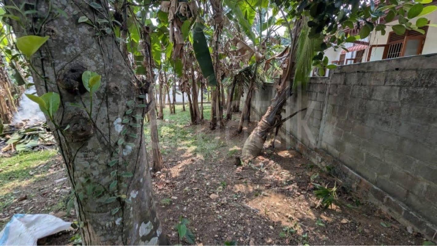 Residential Land for Sale in Weliveriya