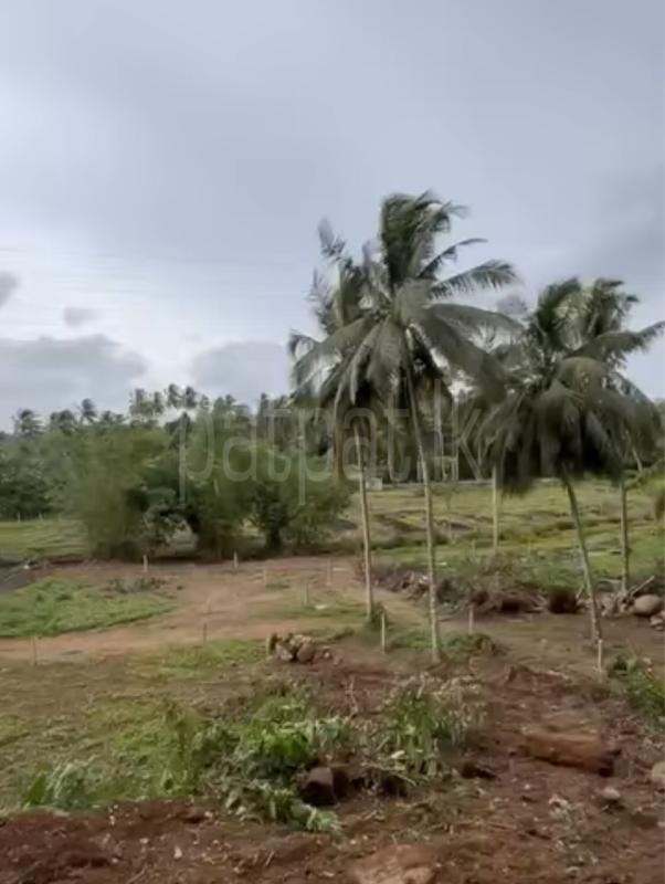 Commercial Land for Sale in Galle ads-image-1