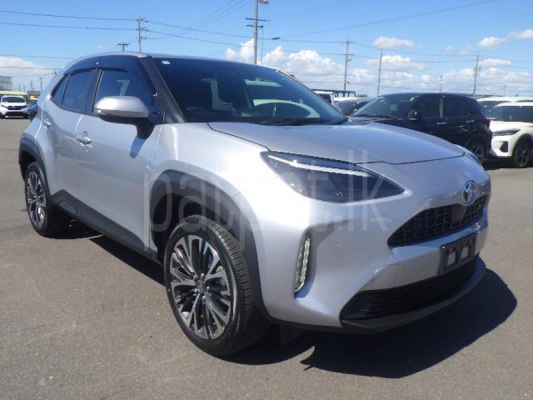 Advertisement image 4